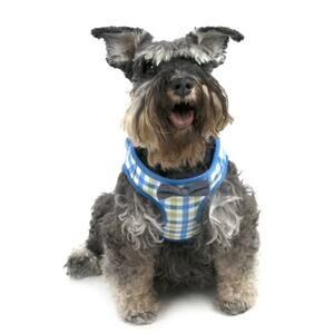 Vibrant Life Blue and Green Plaid Bow Tie Harness Size Small